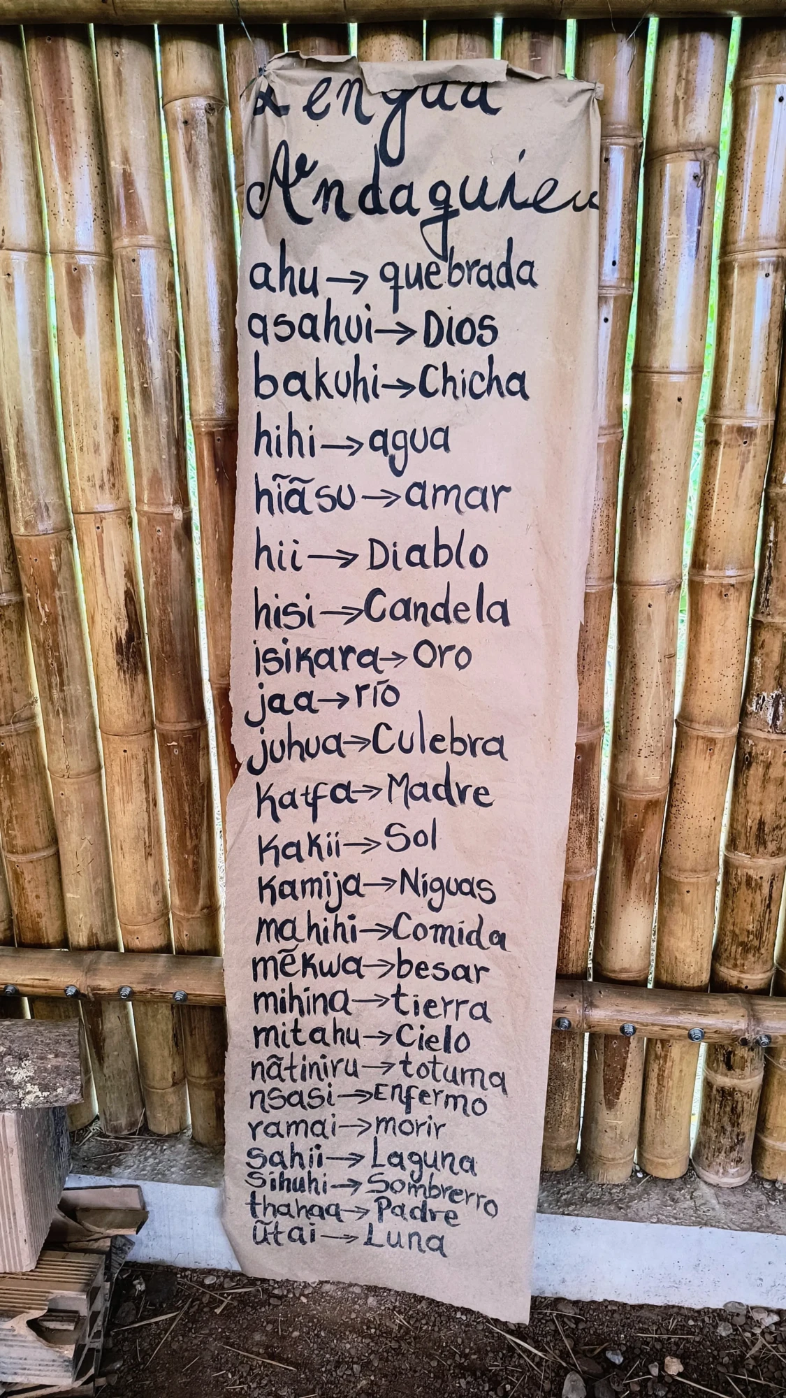 IMG_20250605_113214706_HDR_AE